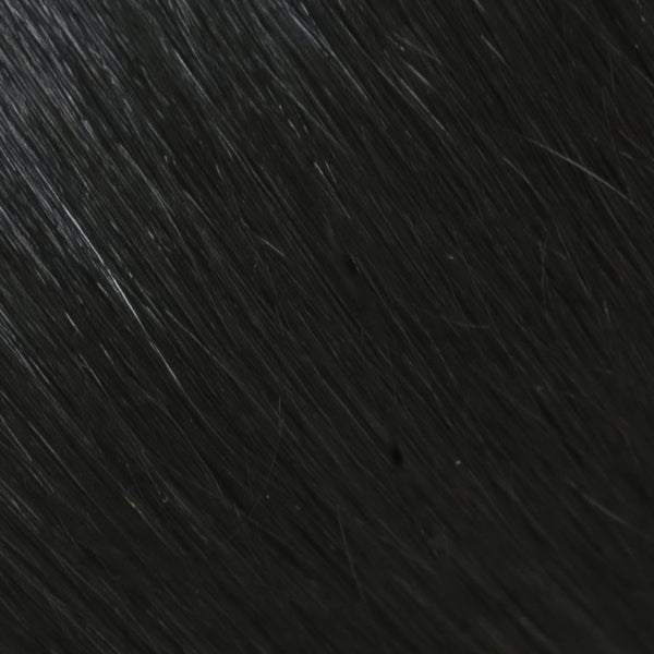 #1 Black 18" Clip In