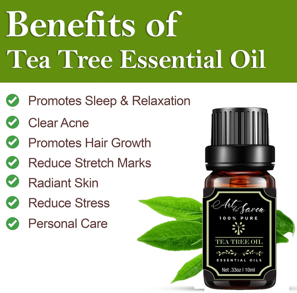 Essential Oils 6pc Set